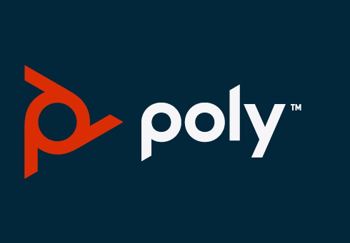 logo poly